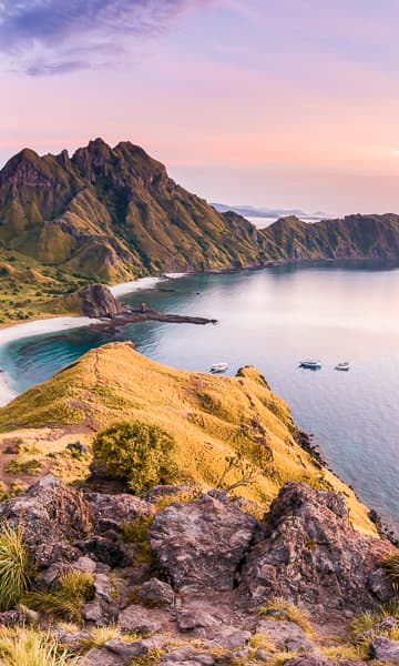 Komodo