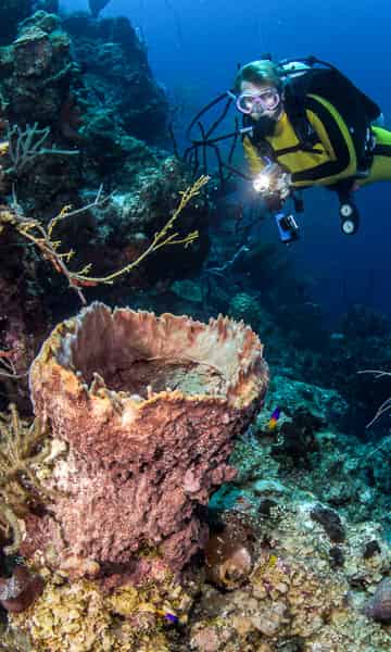 Glover's Reef