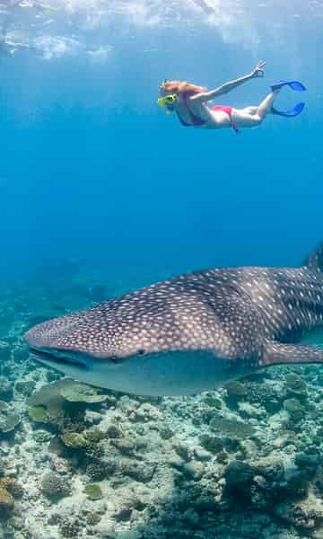 South Ari Atoll