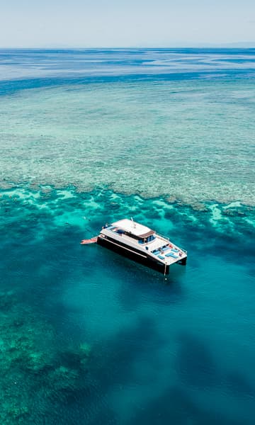 https://www.zubludiving.com/images/Australia/Queensland/Cairns-Port-Douglas/Cairns-Port-Douglas-scuba-diving-portrait.jpg