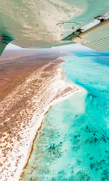 https://www.zubludiving.com/images/Australia/Western-Australia/Ningaloo-Exmouth/Ningaloo-Reef-Exmouth-Western-Australia-Scuba-Diving-Portrait.jpg