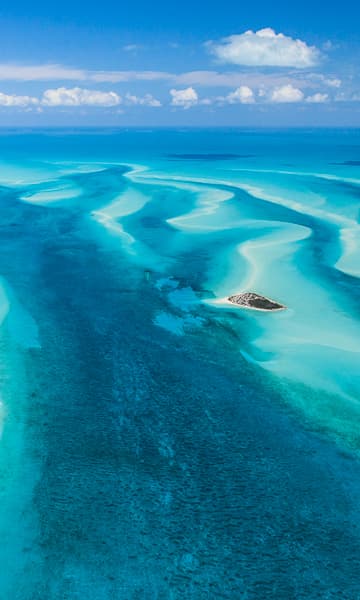 https://www.zubludiving.com/images/Bahamas/Bahamas-Scuba-Diving-portrait.jpg