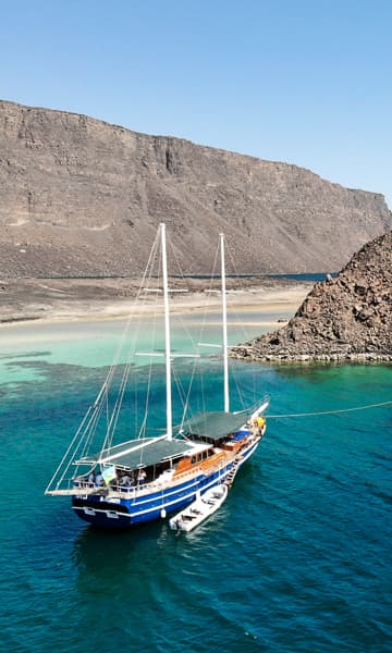 https://www.zubludiving.com/images/Djibouti-Red-Sea/Djibouti-Scuba-Diving-portrait.jpg