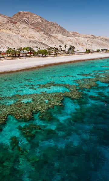 https://www.zubludiving.com/images/Egypt-Red-Sea/Sharm-North/Sharm-El-Sheikh-Hurghada-Dahab-thumb.jpg