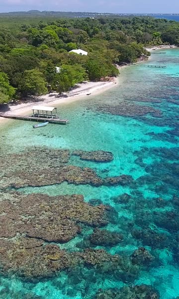 https://www.zubludiving.com/images/Honduras/Utila/Utila-Honduras-Scuba-Diving-portrait.jpg