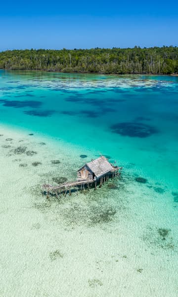 https://www.zubludiving.com/images/Indonesia/Halmahera/Halmahera-Indonesia-scuba-diving-portrait.jpg