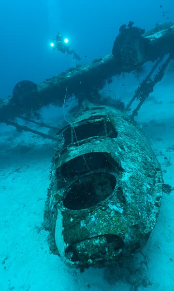 https://www.zubludiving.com/images/Indonesia/West-Papua/Cenderawasih-Bay/Cenderawasih-Bay-Papua-Indonesia-Diving-Portrait.jpg