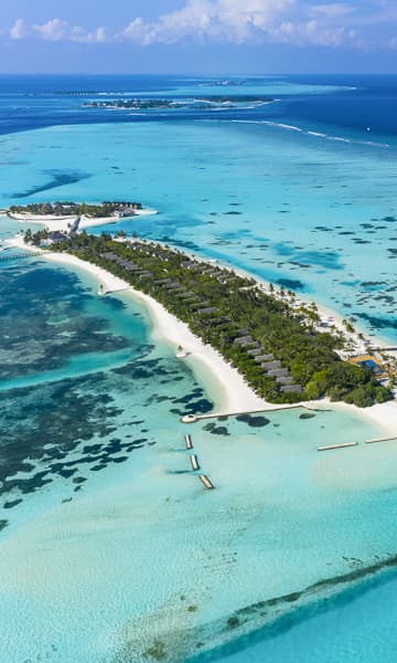 https://www.zubludiving.com/images/Maldives/South-Male-Atoll/South-Male-Atoll-Scuba-Diving-Maldives-Portrait.jpg