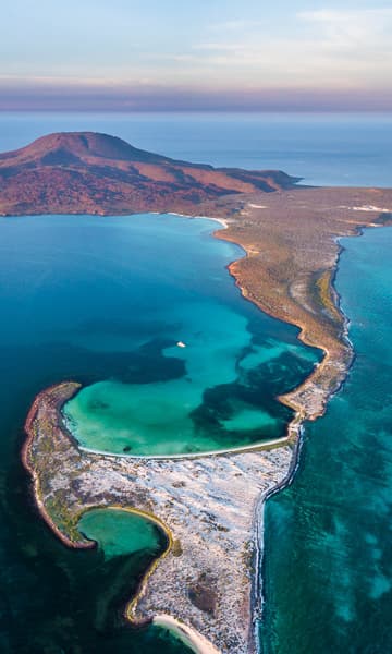 https://www.zubludiving.com/images/Mexico/Baja-California/Sea-of-Cortez/Sea-Cortez-Mexico-Diving-portrait.jpg