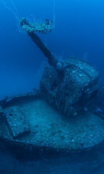 https://www.zubludiving.com/images/Pacific/Bikini-Atoll/Bikini-Atoll-Scuba-Diving-portrait.jpg