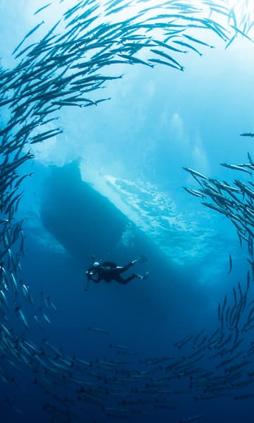 https://www.zubludiving.com/images/Papua-New-Guinea/Kimbe-Bay-Witu-Islands/Kimbe-Bay-Witu-Islands-PNG-portrait.jpg