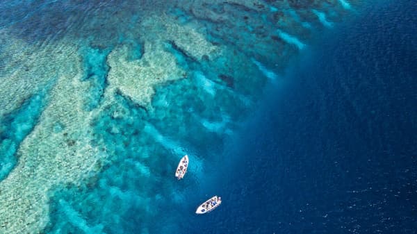 seychelles-or-the-maldives-for-an-indian-ocean-diving-holiday