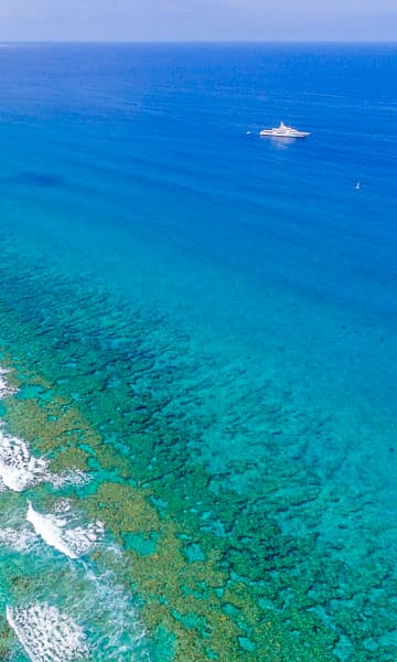 https://www.zubludiving.com/images/Turks-and-Caicos/Providenciales-Caicos-Islands/Providenciales-Caicos-Islands-Scuba-Diving-portrait.jpg