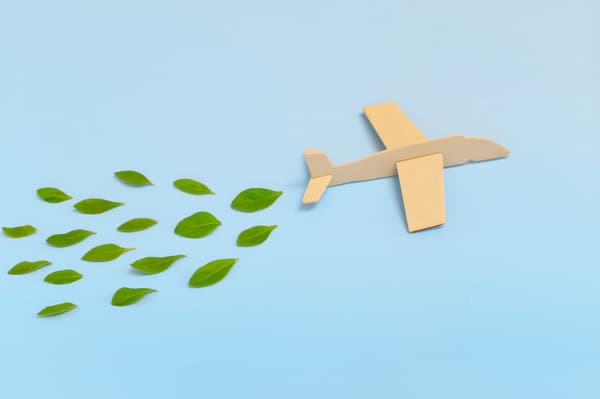 the-paradox-of-sustainable-travel