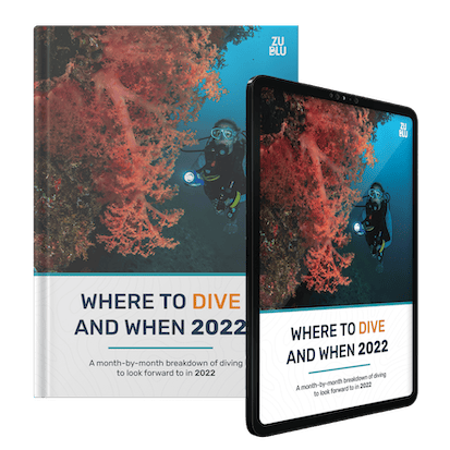 Diving to inspire you in 2022