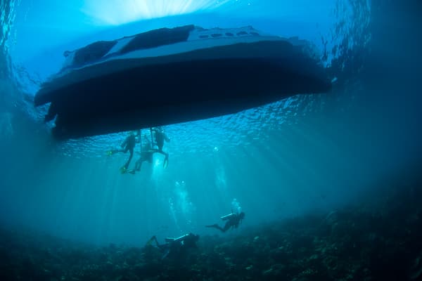 When and Where to Scuba Dive in 2026 - a Month-by-Month Guide