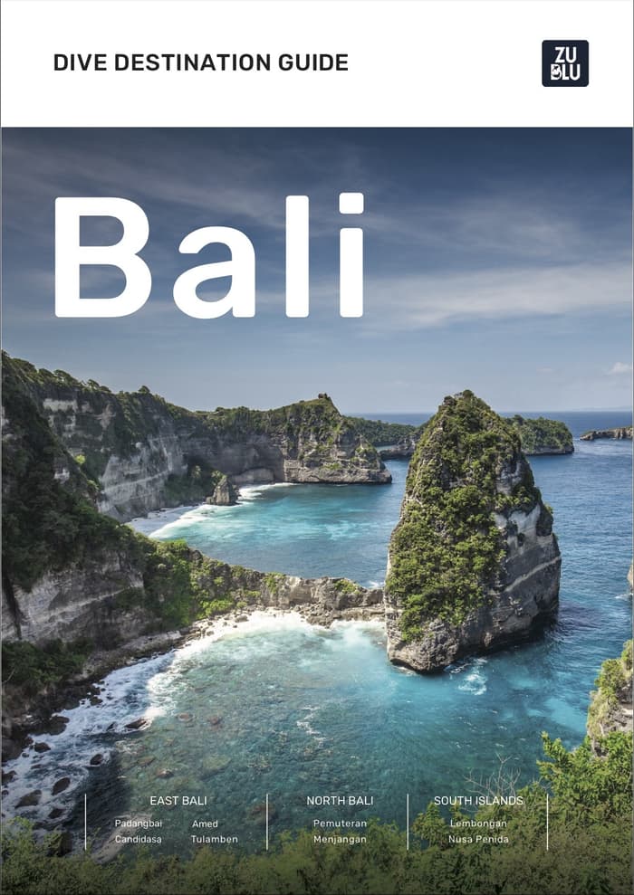 Free guide to the best diving in Bali Indonesia