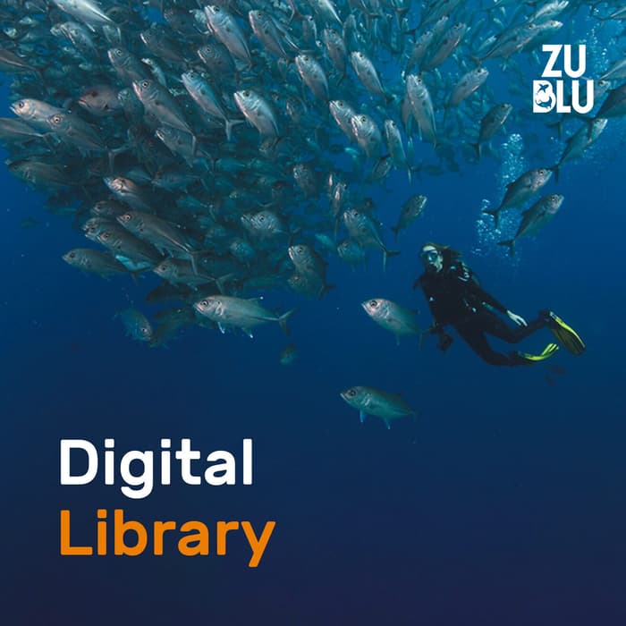 ZuBlu's Digital Library