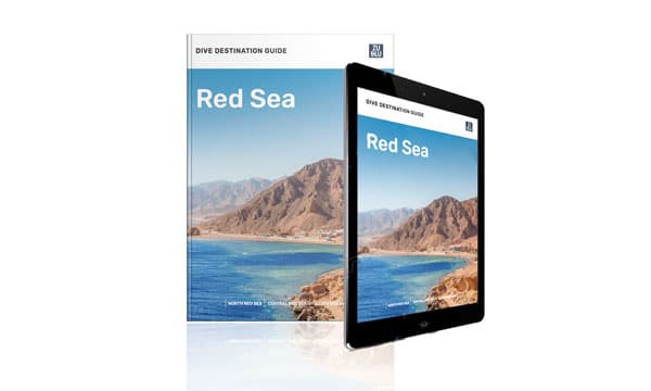 Free guide to the best diving in Egypt and the Red Sea