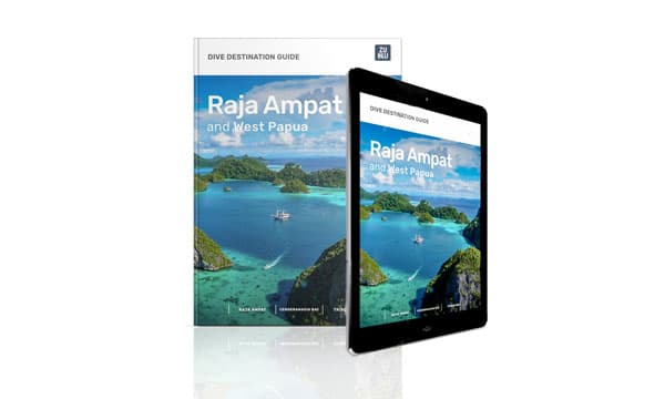 Free guide to diving in Raja Ampat and West Papua