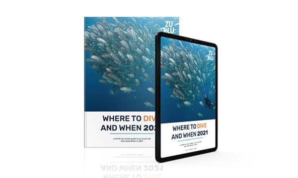 2021 Dive guide