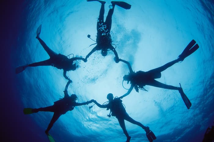 Guide to marine conservation volunteering abroad