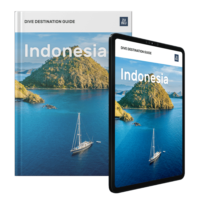 Free Indonesia dive destination guide