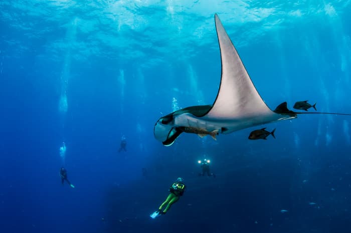 World’s best liveaboard itineraries for advanced divers