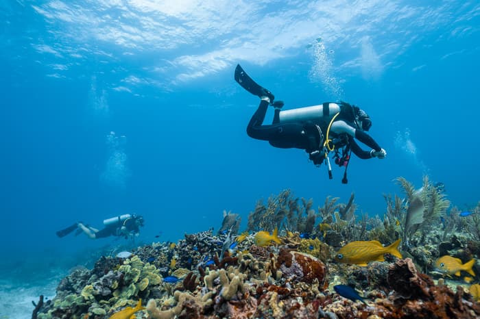Learning to dive in the Caribbean