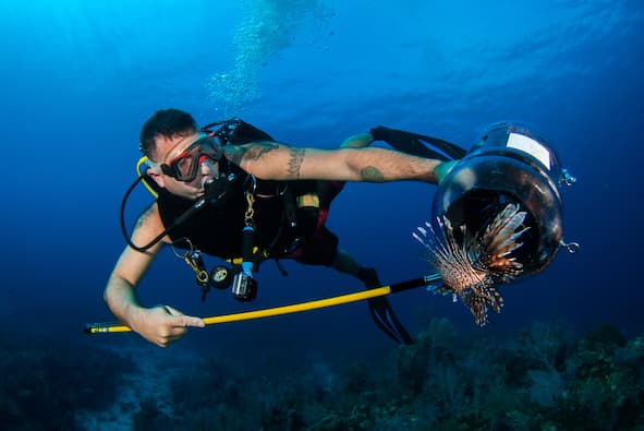 Lionfish hunt: Tackling invasive species in the Caribbean