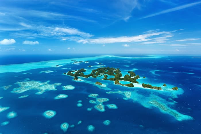Scuba diving in Palau – the jewel of Micronesia