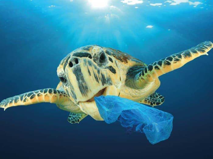 10 Simple ways to reduce plastic waste