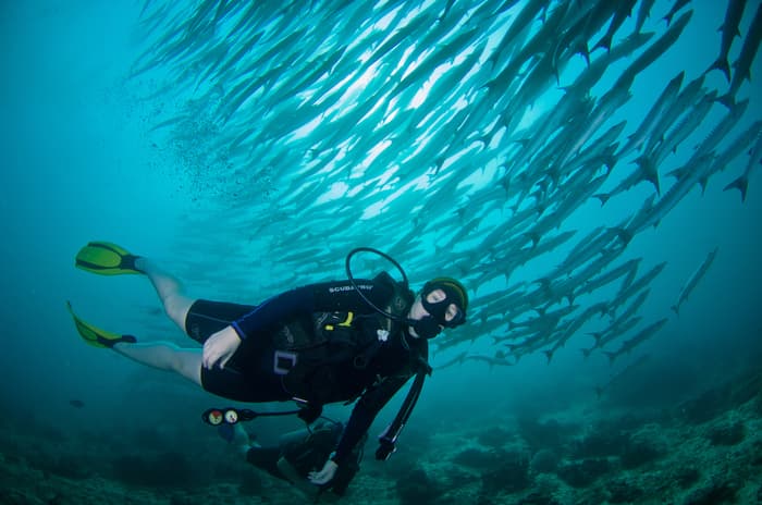 Discover Sipadan Island – Malaysia's best scuba diving