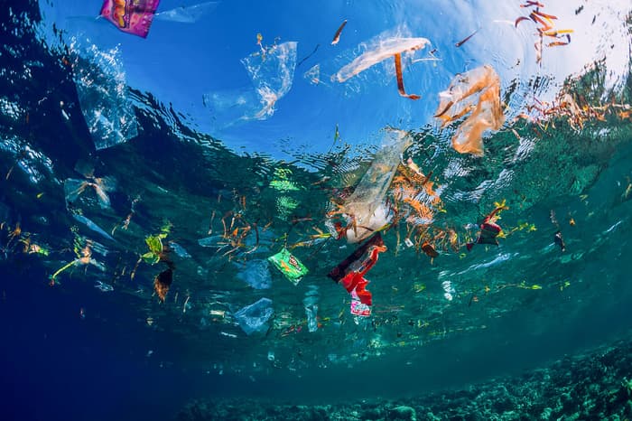 Superbugs shaping-up to take-on ocean plastics