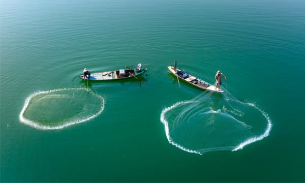 Marine reserves can increase fishery landings