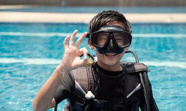 Dive into the Classroom with WiseOceans