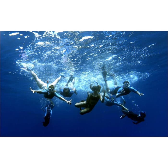 Why you should pay for a volunteer dive holiday abroad