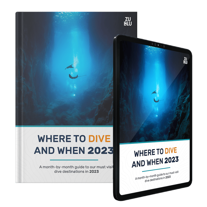 Diving to inspire you in 2023