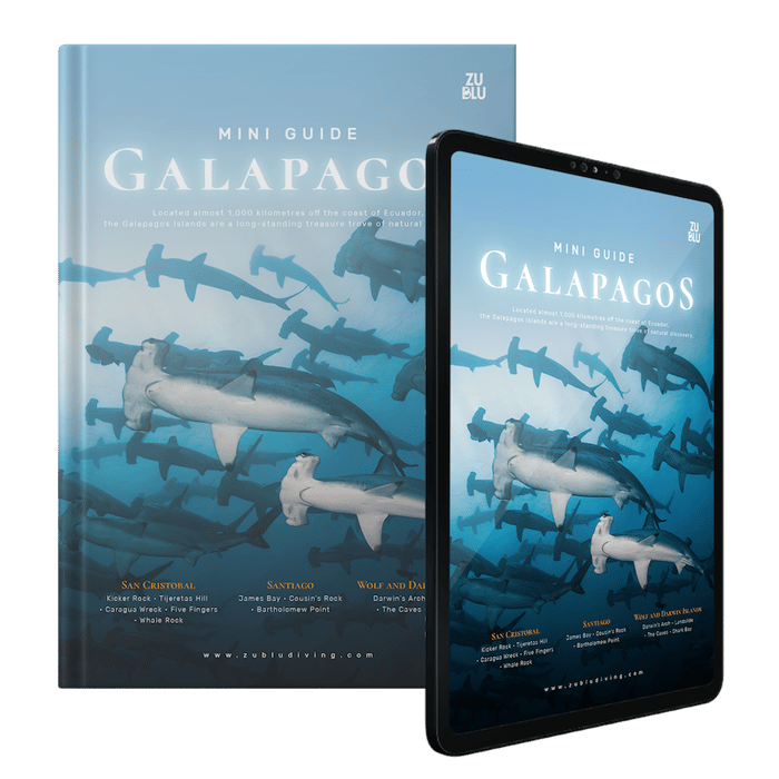 Free guide to diving in the Galapagos Islands