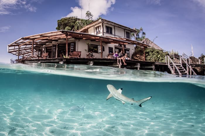 Luxury eco-conscious dive resorts