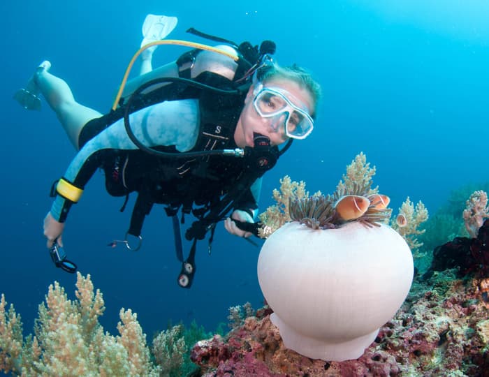 Learning to dive in the Philippines