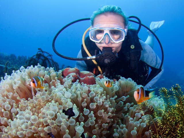 Where is the best place to dive in the Philippines?