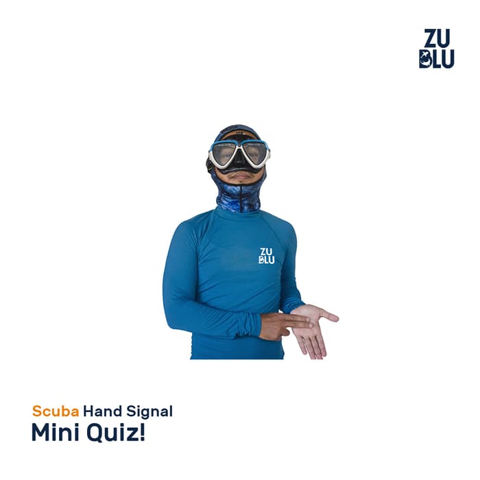 Mini Hand Signal Quiz