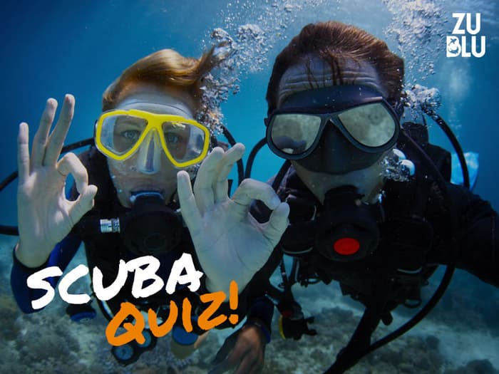Scuba Quiz