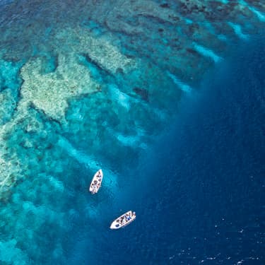 Which is better? The Seychelles or the Maldives for a diving holiday in the Indian Ocean?
