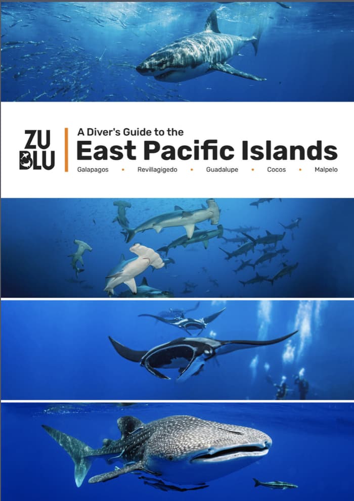 Free guide to diving in the East Pacific Islands