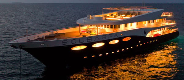 Best diving liveaboards in the Maldives