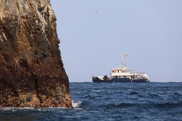 Ferox Malpelo Liveaboard