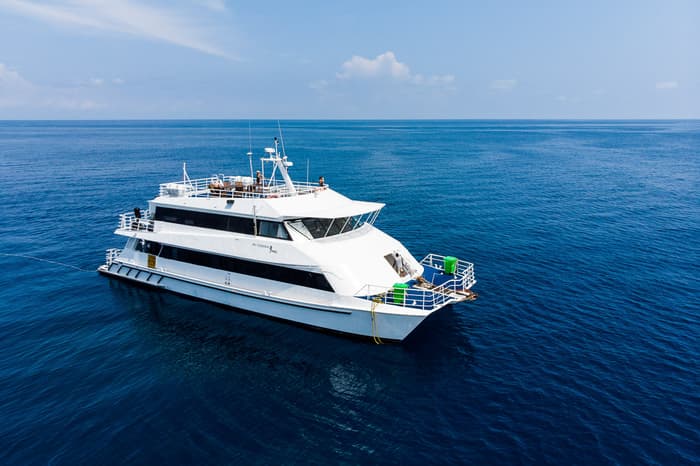 Oceania liveaboard
