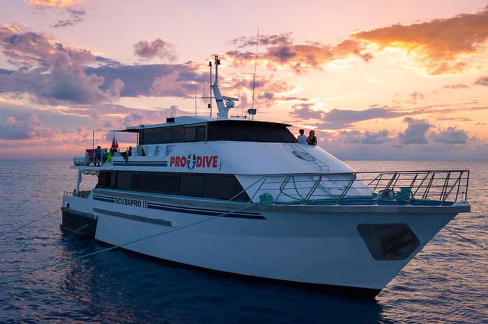 Pro Dive Cairns liveaboard